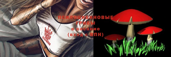 первитин Вяземский