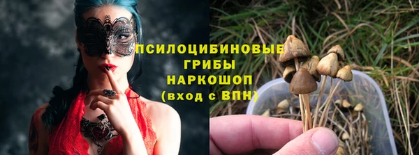 первитин Вяземский
