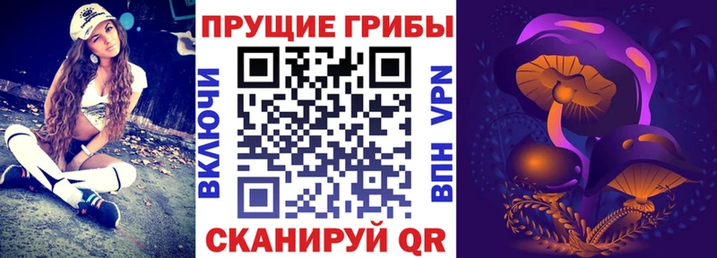 где купить наркотик  Дальнереченск  Галлюциногенные грибы мицелий 